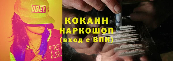 дурь Богородицк