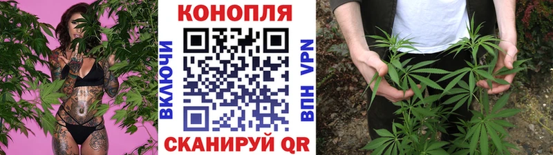 Бошки Шишки гибрид  Нарткала 